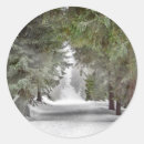 Buscar pinos pegatinas Árboles