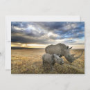 Buscar rinoceronte tarjetas Animales