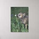 Buscar wildflower lienzos Naturaleza
