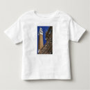 Buscar siena camisetas Torre