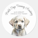 Buscar obediencia postales Entrenador de perros