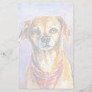 Buscar canina papeleria papel Animal