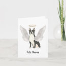 Buscar terrier de boston tarjetas Para ella