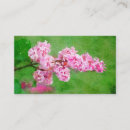Buscar extracto de la flor General y unisex