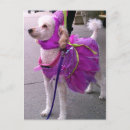 Buscar princess postales Perro