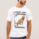 Buscar papel camisetas 6 º mamarrera