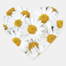 Buscar margaritas corazon pegatinas Flores