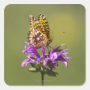 Buscar selectivo pegatinas Vista lateral