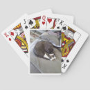 Buscar señora barajas de cartas Para todos