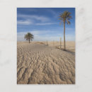 Buscar desierto sahara postales Paisaje