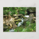 Buscar turner postales Naturaleza