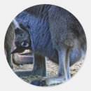 Buscar canguro del bebé pegatinas Animal
