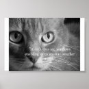 Buscar maullido posters Animales