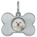 Buscar shih mascotas Animal