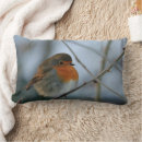 Buscar pájaro cojines Petirrojo