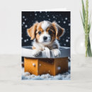 Buscar cajas de tarjetas Presente