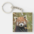Buscar panda rojo llaveros Naturaleza