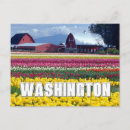 Buscar washington tarjetas Norteamérica