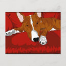 Buscar bulto postales Perro