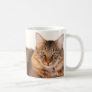 Buscar coño tazas Gatos