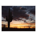 Buscar cactus de arizona posters Parque nacional
