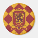Buscar quidditch imanes Gryffindor
