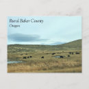 Buscar rurales postales Naturaleza