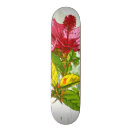 Buscar extracto tablas de skate Hermoso