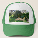 Buscar follaje gorras Plantas