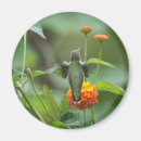 Buscar barrido imanes Fotografía