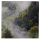 Buscar ahumado azulejos Primavera