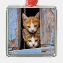 Buscar gatitos adornos Para ella