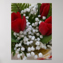 Buscar tulipanes blancos posters Rojo