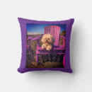 Buscar shih tzu cojines Cachorro