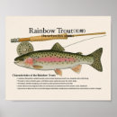 Buscar trucha arte Para pescadores