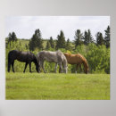 Buscar agricultura posters Horizontal
