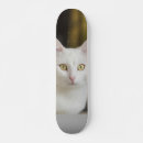 Buscar creativo tablas de skate Diseño