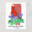 Buscar violets postales Para todos