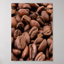 Buscar café de bebida posters Barista