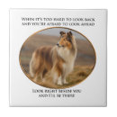 Buscar perro del collie azulejos Animal