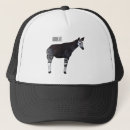 Buscar conejo gorras Mamífero
