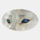 Buscar lobo blanco pegatinas General y unisex