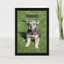 Buscar quito tarjetas Para todos