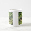 Buscar pepinos tazas Para ella