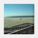 Buscar erizo imanes Playa