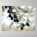 Buscar rama de árbol posters Fruta