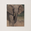 Buscar elefante africano puzzles Desierto