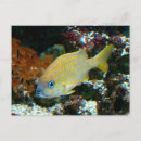 Buscar ipod postales Para todos