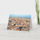 Buscar seashells tarjetas Océano