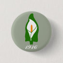 Buscar ira chapas Irlanda